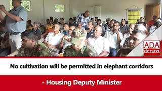 No cultivation will be permitted in elephant corridors - Housing Deputy Minister (English)