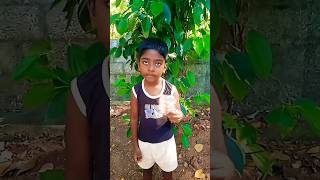 പാതിരാത്രി കഴിക്കാനുള്ള ഗുളിക #trending #comedy #funny #kerala #youtube