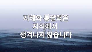 지혜와 통찰력은 지식에서 생겨나지 않습니다