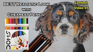 How To Draw a Dog in Coloured Pencil | Best Realistic drawing with Cheapest Pencil