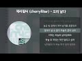 체리필터 cherryfilter 오리 날다 가사 lyrics