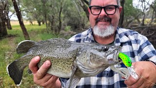 Murray Cod Opening 2025