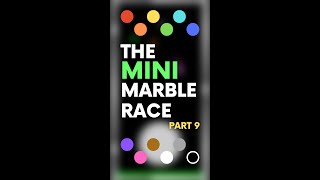 The Mini Marble Race (Part 9/11)