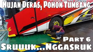 Part 6‼️Hujan Deras, Pohon Tumbang, Bemper Bus Nggasruk....Gaaass Teruusss