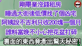 剛畢業沒錢租房，睡過大街後低價找了個凶宅，阿姨說不吉利只收200塊一個月，不料當晚不小心把花盆打碎，裏面的東西竟牽出驚天秘密！【顧亞男】【高光女主】【爽文】【情感】