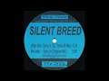 silent breed sync in original mix