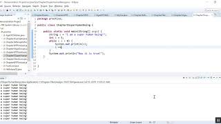 Chapter 5 While Loop and Common Errors