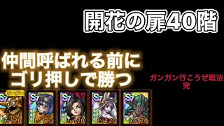 【ドラクエタクト】開花の扉40階クリア　ガンガン行こうぜ！