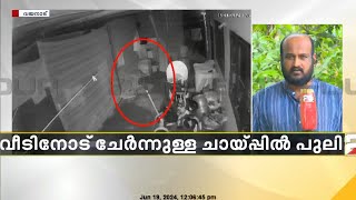 വയനാട്ടിൽ വീടിനോട് ചേർന്നുള്ള ചായ്പ്പിൽ പുലി | Wayanad