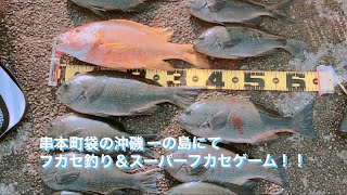 完全ノーカット!!和歌山県串本町の袋の名礁一の島にてフカセ釣り!!