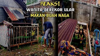 Mxtube.net :: siluman ular telanjang Mp4 3GP Video & Mp3 Download ...