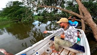 pesca con anzuelo, muchas sardinas, la caña no soporto.