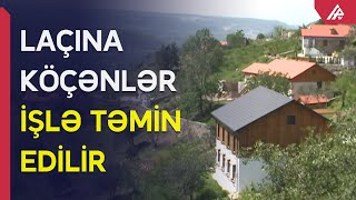 Laçına köçən sakinlər Vətəndə olmaqdan məmnundur – APA TV