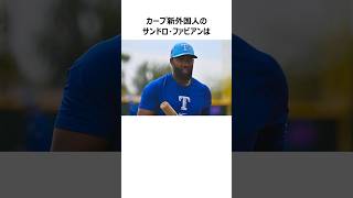 【広島カープ新外国人】サンドロ・ファビアンに関する雑学