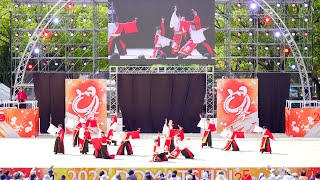 [4K] よさこい演舞隊～光～　にっぽんど真ん中祭り 2023 どまつり 日曜日