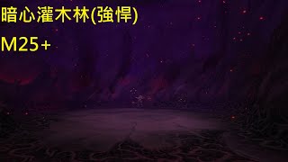 魔獸世界10.26 S3賽季 暗心灌木林 M25+ 強悍 冰法 (Darkheart Thicket M25+)  Mage Frost  4K畫質