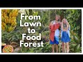 We Turned Our Yard Into A Food Forest During Quarantine | Epic Garden Tour