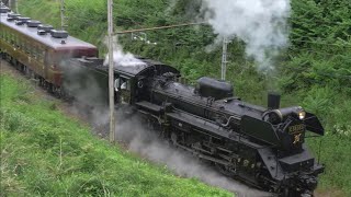 初運行！門鉄デフ装着【SLパレオエクスプレス】2024年5月19日　秩父鉄道