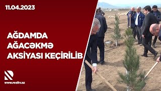 Ağdamda ağacəkmə aksiyası keçirilib