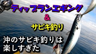 【2022年秋イカエギング＃09】2馬力ボートでティップランとサビキ釣り！沖のサビキが楽しすぎる！富山県海老江沖