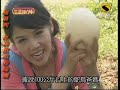 2012 0814生活接力棒 第422集 新奇的動物牧場