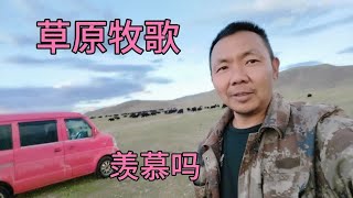 草原牧歌！牛羊成群在雪山下的草地上，牧人自由在草原上放歌。【无法靠岸老夏】