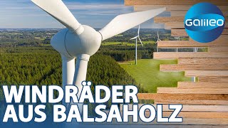 Balsaholz: Das ideale Baumaterial für Windräder? | Galileo | ProSieben