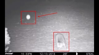 Shocking CCTV Video Footage- Bright 'orb' frightens fox at night in New York