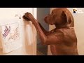 Incredible Service Dog Takes The Best Care Of His Mom | The Dodo Incredible Service Dog Takes The Best Care Of His Mom | The Dodo