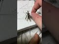 Removing pins from pinned mantis #shorts  #familyfriendly  #exotic  #mantis  #bugs  #awesome #asmr