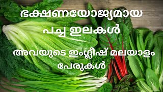 Leafy vegetables Malayalam names and English names