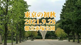 東京の初秋 2021.9.28朝「都立赤塚公園」