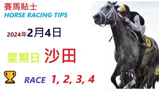 「賽馬貼士」🐴  2023 年 2 月 4 日 沙田🐴    香港賽馬貼士  HONG KONG HORSE RACING TIPS  🐴 RACE  1  2  3  4