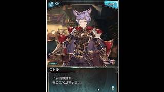 【グラブル】カトル100最終フェイト　団長戦