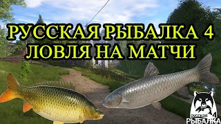 Розыгрыш наживок !!! Русская Рыбалка 4 / Russian Fishing 4 Ловля на мачт №11