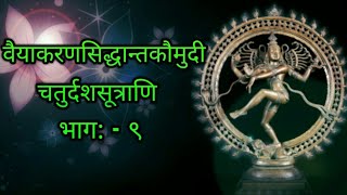 वैयाकरणसिद्धान्तकौमुदी | भाग 9 | पाणिनीयव्याकरणम् | Vaiyakarana Siddhanta Kaumudi | bhag 9 |