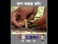 সাপ ধরার ফাঁদ shorts