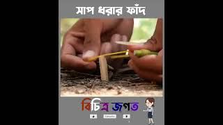 সাপ ধরার ফাঁদ #shorts