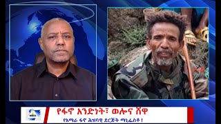 የነ አፋህድ ማኒፌስቶ፣ ኮሎኔል ፋንታሁን ከነ እስክንድር ጋር  #wamera #ethiopiannews #ግርማካሳ