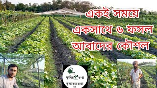 নিচু জমিতে একই সাথে ৬ ফসল আবাদ কৌশল