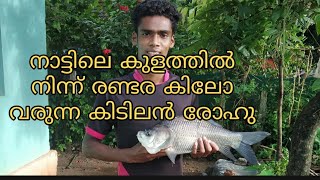 ഒരു രണ്ടര മൂന്നു കിലോ വരുന്ന                   കിടിലൻ രോഹു 🐟🐟😜#fishing