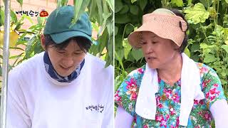 SBS [백년손님] - 18년 8월 18일(토) 249회 예고 / 'A Date with my Son in law' Ep.249 Preview