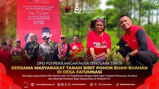 DPD PDI Perjuangan NTT Bersama Masyarakat Tanam Bibit Pohon Buah-Buahan Di Desa Fatumnasi