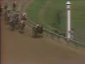 seattle slew 1977 kentucky derby