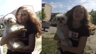 Obca kobieta w domu,próba smaku psiej czekoladki (vlog 98)