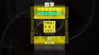 数学的终极彩蛋，谁发明了数学？3-中【小红虾实验室】#科普 #科学 #数学