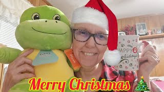 ☆2022☆ MERRY CHRISTMAS! ❤️💚⛄️🎄🛻⛪️😇 | XL DOLLAR TREE HAUL👍 #happybirthdayjesus #dollartreehaul #2022