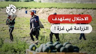 العدوان الإسرائيلي على غزة يكلّف قطاع الزراعة خسائر تقارب مليوني دولار