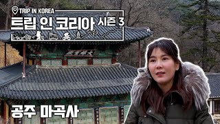 [트립 인 코리아 시즌 3]백제 시대의 모습을 그대로 가지고 있는 유네스코 세계유산이 공주에 있습니다! 마곡사