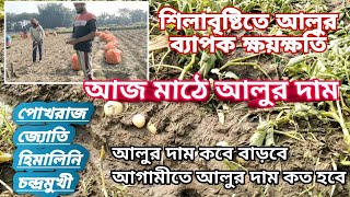 আজকে সমস্ত রকম আলুর দাম 🥔শিলা বৃষ্টিতে আলুর অবস্থা🤔 আলুর দাম কবে বাড়বে